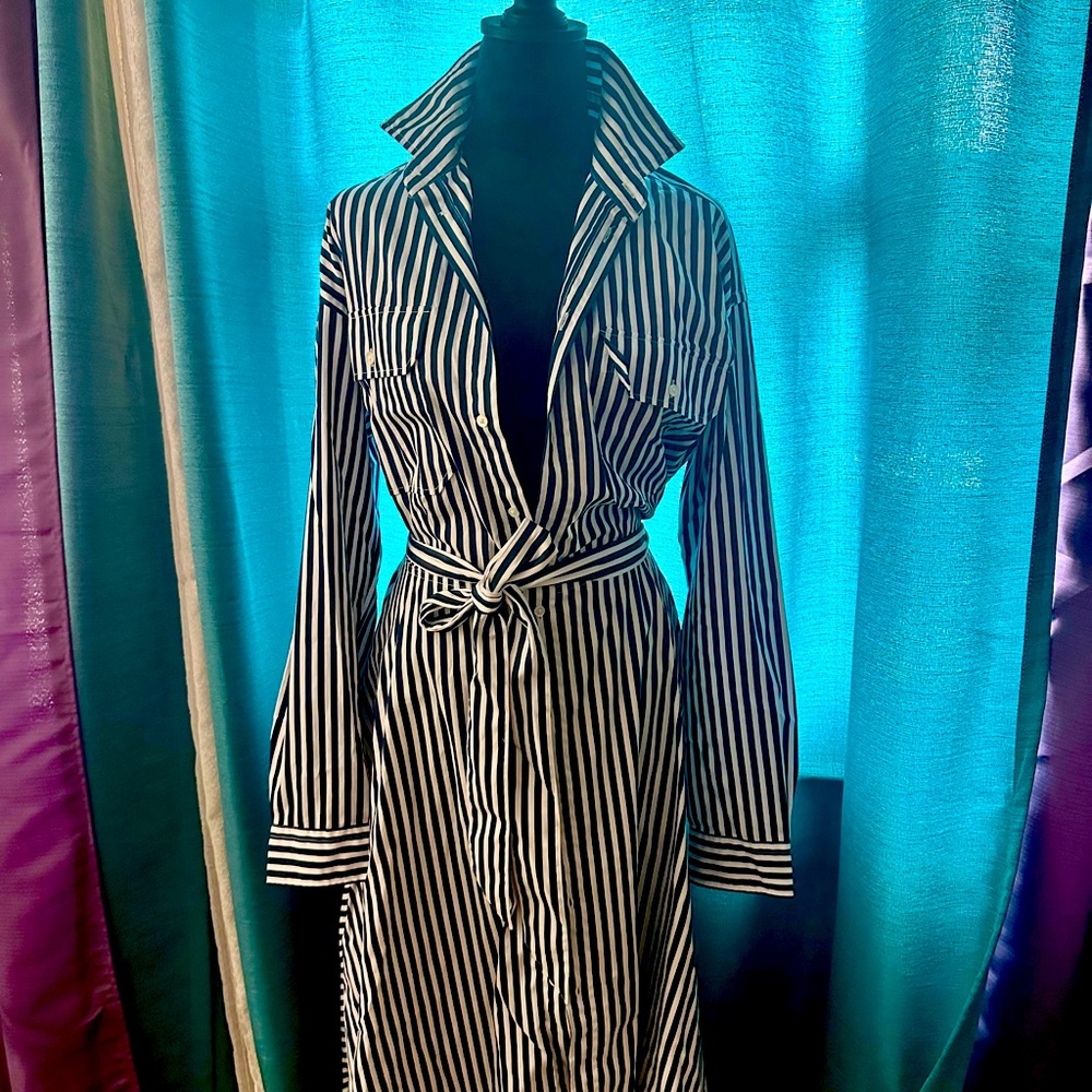 Ralph Lauren NAVY and White Vertical Stripe Long Sleeve Shirt Dress